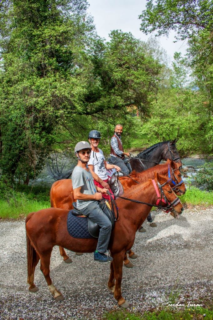Hisaronu Excursions | Horse Riding | Oludeniz Turkey Holidays