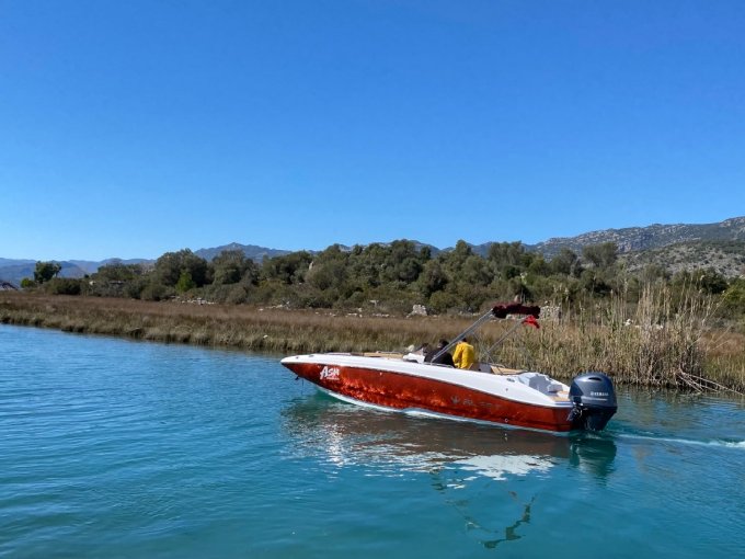 Speed Boat Hire